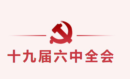 深入学习贯彻党的十九届六中全会精神——南昌市致远双语学校开展11月主题党日活动